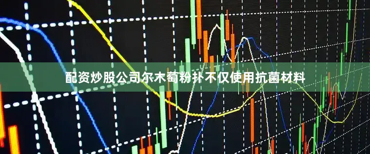 配资炒股公司尔木萄粉扑不仅使用抗菌材料
