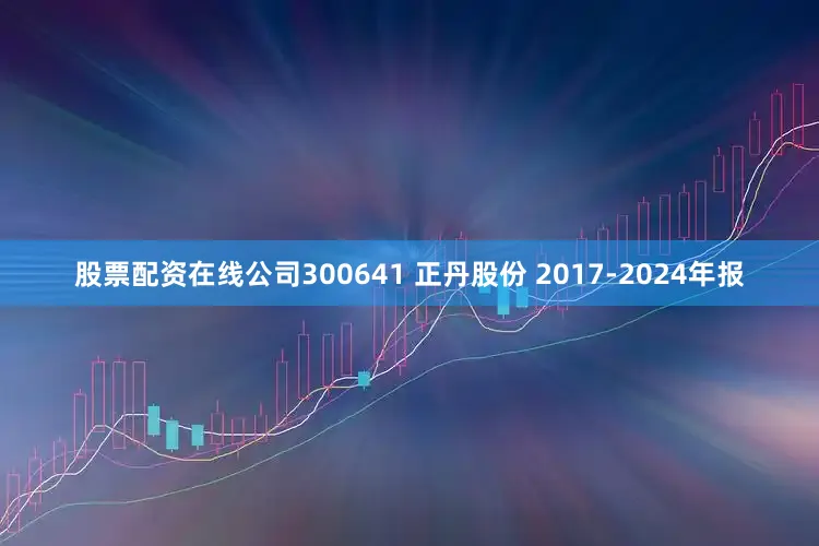 股票配资在线公司300641 正丹股份 2017-2024年报
