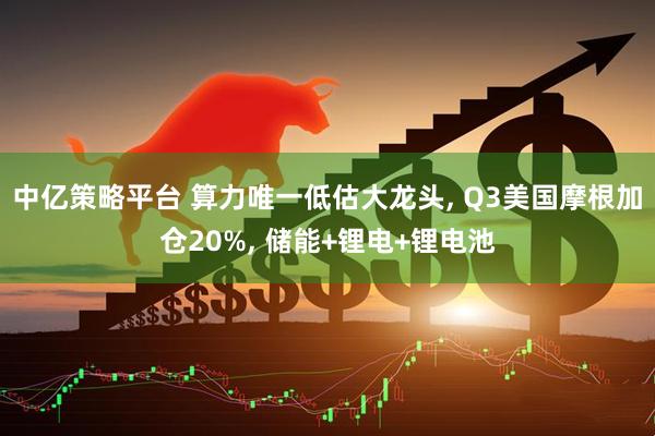 中亿策略平台 算力唯一低估大龙头, Q3美国摩根加仓20%, 储能+锂电+锂电池