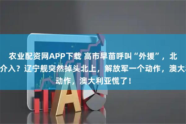 农业配资网APP下载 高市早苗呼叫“外援”,北约33国要介入?辽宁舰突然掉头北上,解放军一个动作,澳大利亚慌了!