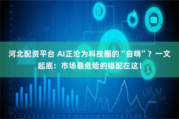 河北配资平台 AI正沦为科技圈的“自嗨”？一文起底：市场最危险的错配在这！
